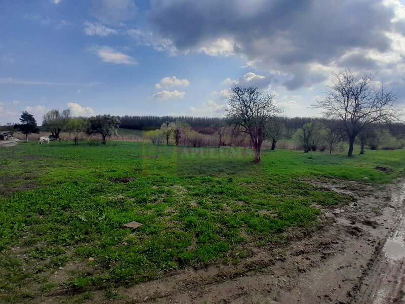 DE VANZARE TEREN 3400 MP IN SAT PODU ILFOVAT / COM BUTURUGENI (GR)