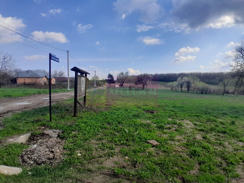 DE VANZARE TEREN 3400 MP IN SAT PODU ILFOVAT / COM BUTURUGENI (GR)