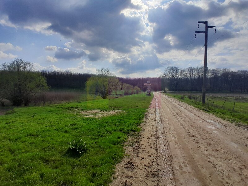 DE VANZARE TEREN 3400 MP IN SAT PODU ILFOVAT / COM BUTURUGENI (GR)