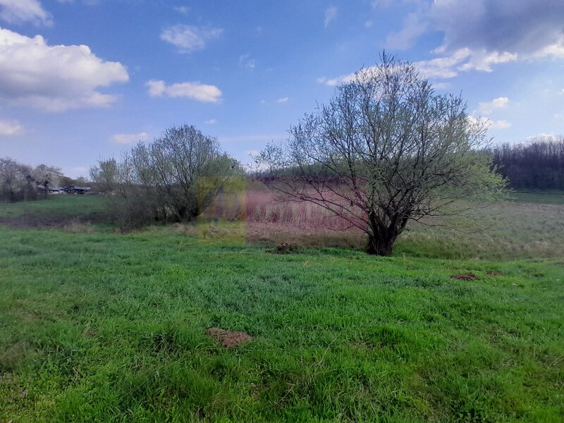 DE VANZARE TEREN 3400 MP IN SAT PODU ILFOVAT / COM BUTURUGENI (GR)