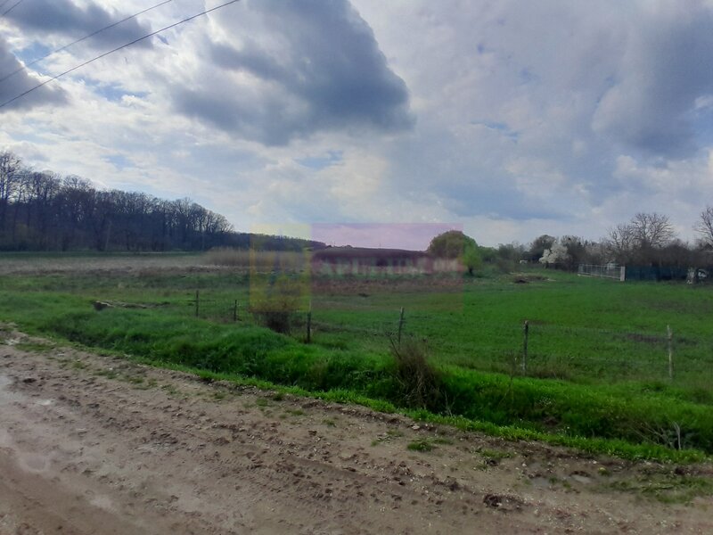 DE VANZARE TEREN 3400 MP IN SAT PODU ILFOVAT / COM BUTURUGENI (GR)