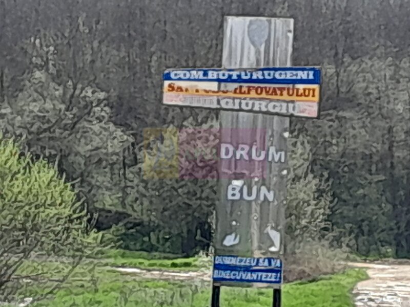 DE VANZARE TEREN 3400 MP IN SAT PODU ILFOVAT / COM BUTURUGENI (GR)