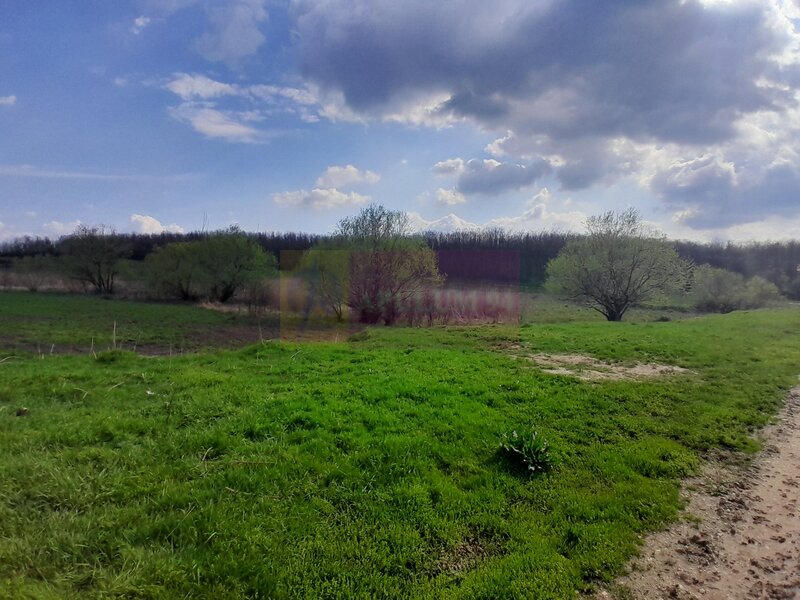 DE VANZARE TEREN 3400 MP IN SAT PODU ILFOVAT / COM BUTURUGENI (GR)