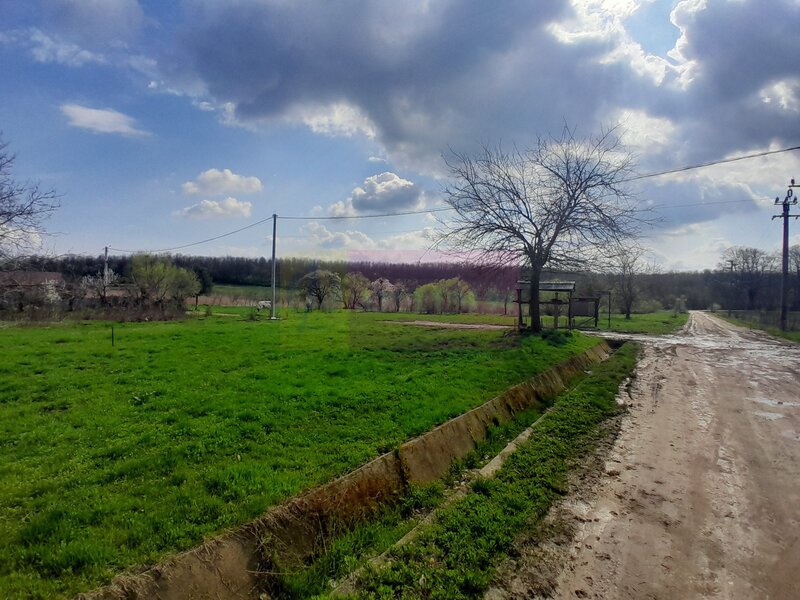 DE VANZARE TEREN 3400 MP IN SAT PODU ILFOVAT / COM BUTURUGENI (GR)