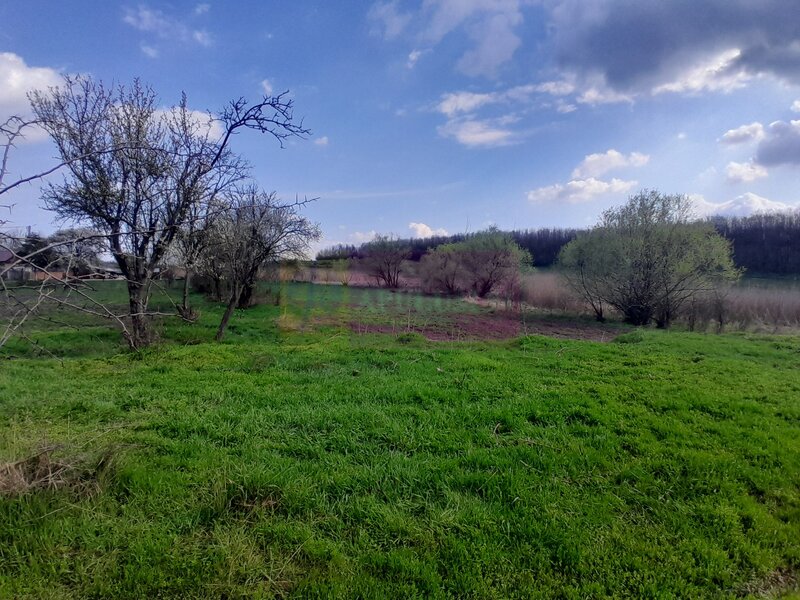 DE VANZARE TEREN 3400 MP IN SAT PODU ILFOVAT / COM BUTURUGENI (GR)