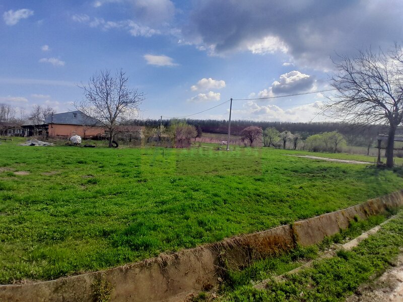 DE VANZARE TEREN 3400 MP IN SAT PODU ILFOVAT / COM BUTURUGENI (GR)