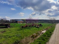 DE VANZARE TEREN 3400 MP IN SAT PODU ILFOVAT / COM BUTURUGENI (GR)